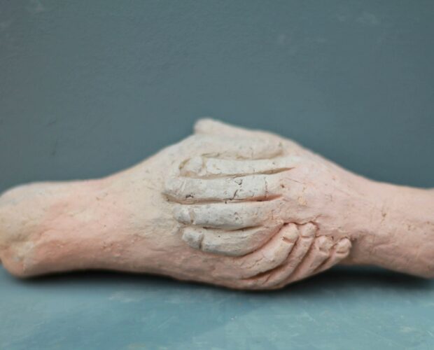 Raymond Debiève - mains